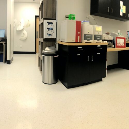 Diagnostic Laboratory