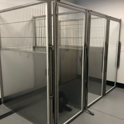 Large Dog Kennel Runs