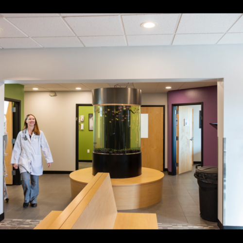 Lobby – Cat Waiting Area