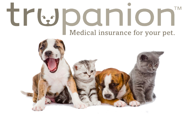 Pet Health Insurance - Tender Care Veterinary Center